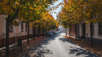 Amíg megépült a komáromi híd...