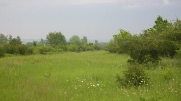 Das Bokros-Salzschutzgebiet