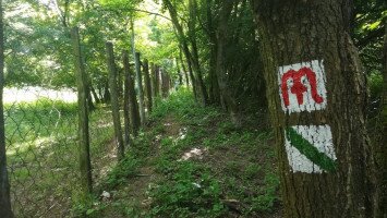 Educational trail from Strekov to Svodín