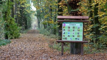 Parkwald Berek
