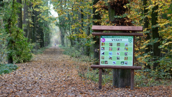 Parkwald Berek